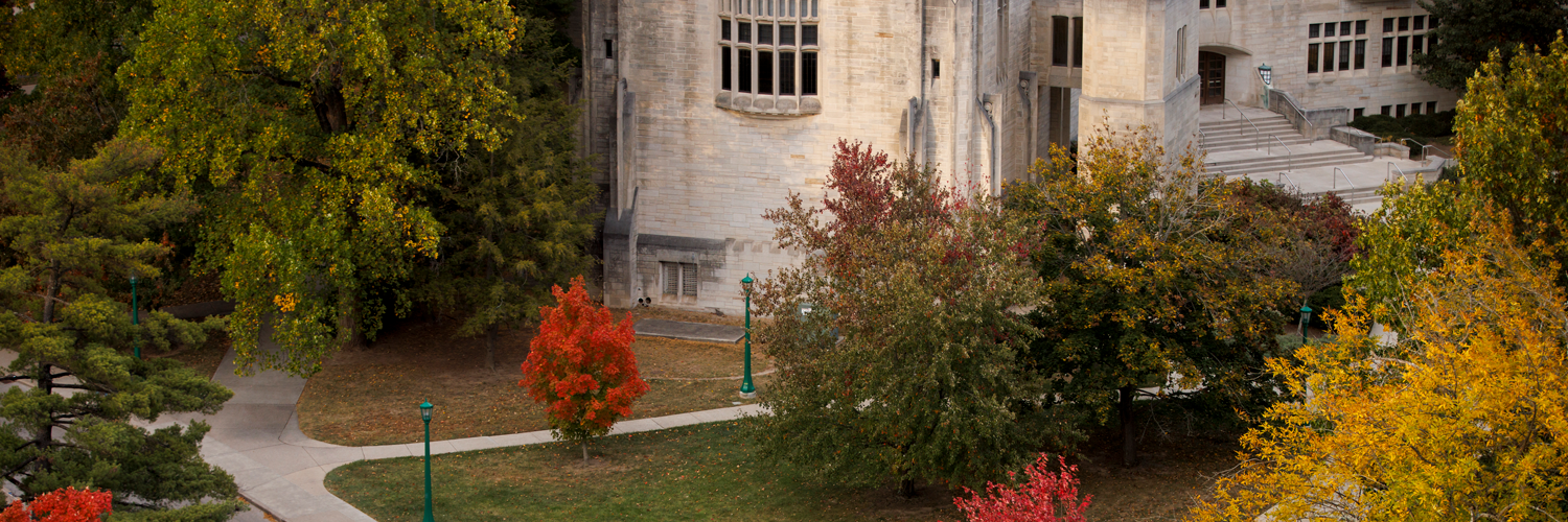 Campus in the fall